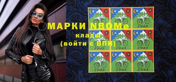 сатива Новокубанск