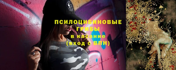 марки lsd Новозыбков