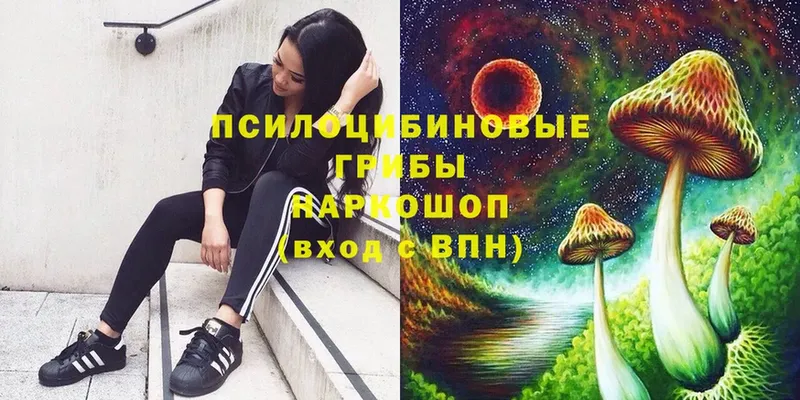 Псилоцибиновые грибы Psilocybine cubensis  Красноперекопск 