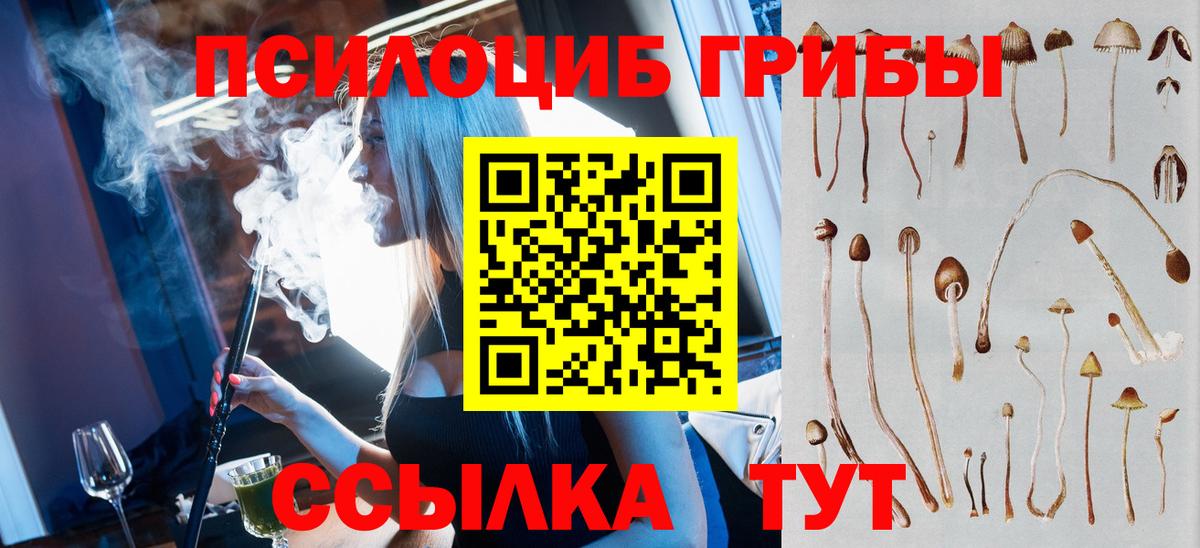 Галлюциногенные грибы прущие грибы Красноперекопск